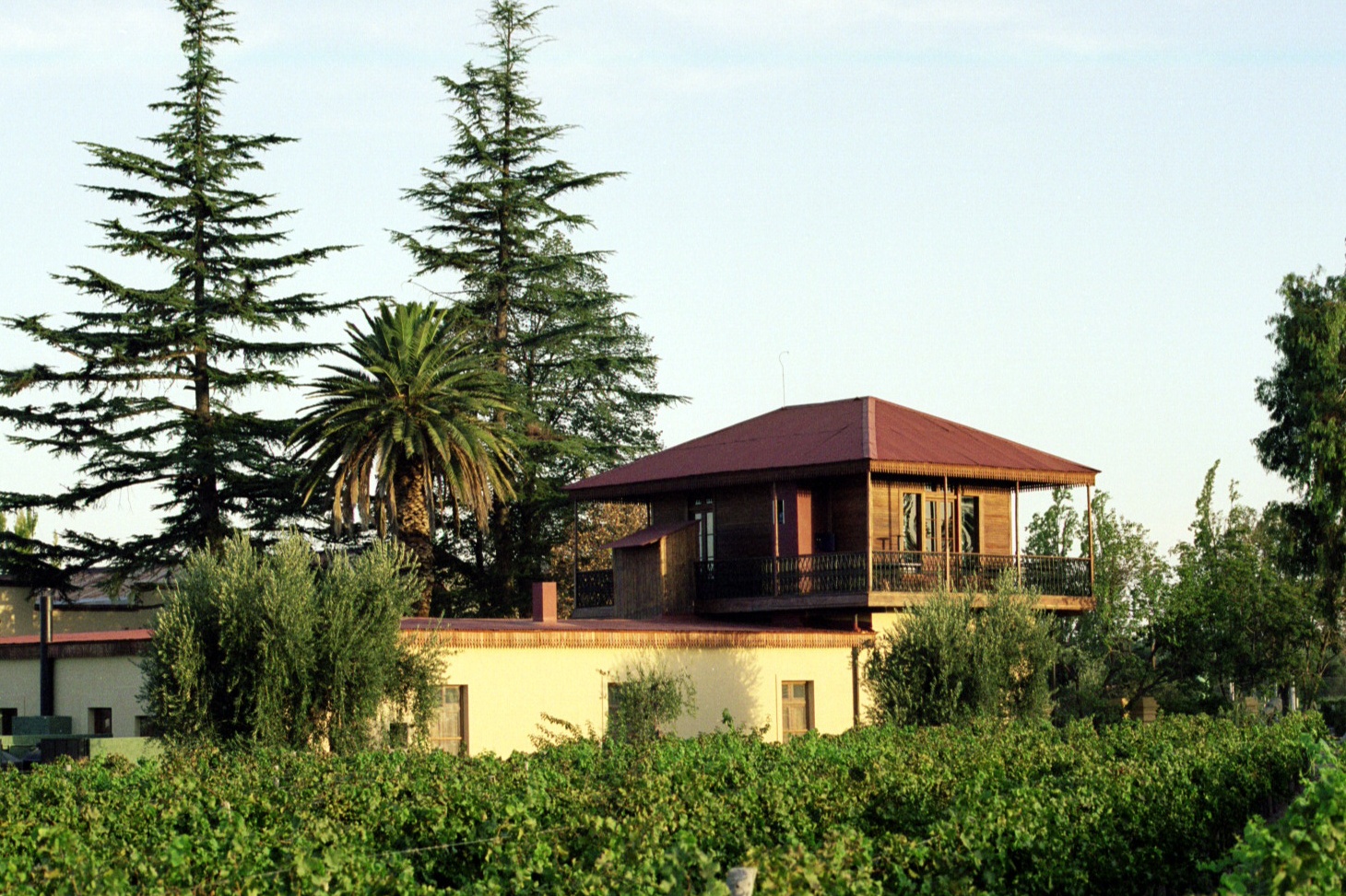Club Tapiz