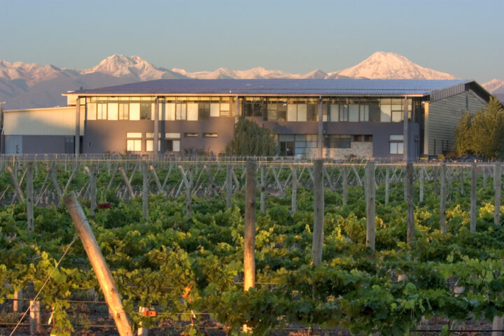 Zolo vineyard visit